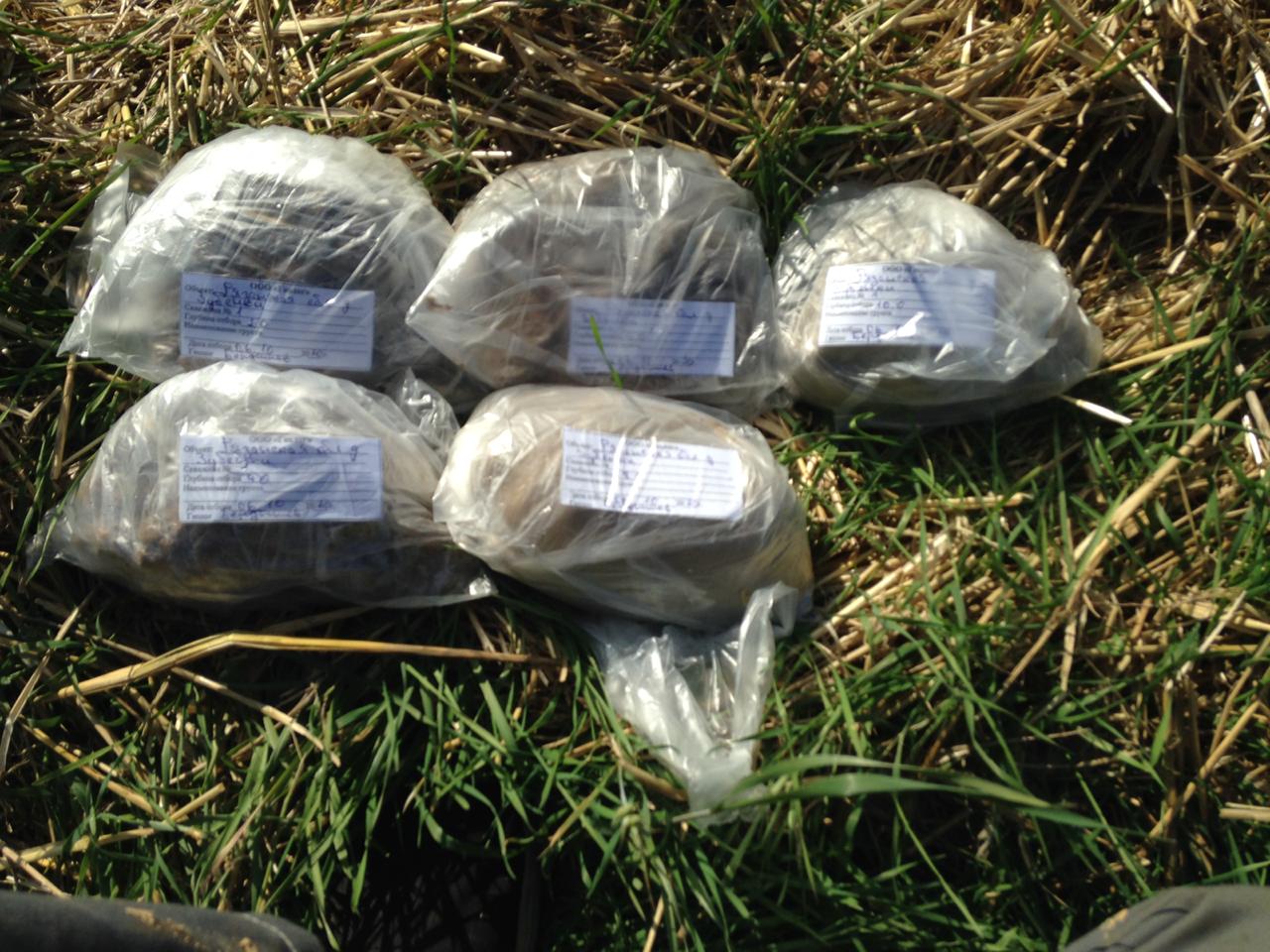 Геологические изыскания для проекта автомагистрали